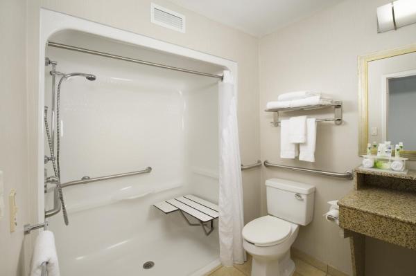 King Room - Disability Access Roll in Shower/Non-Smoking